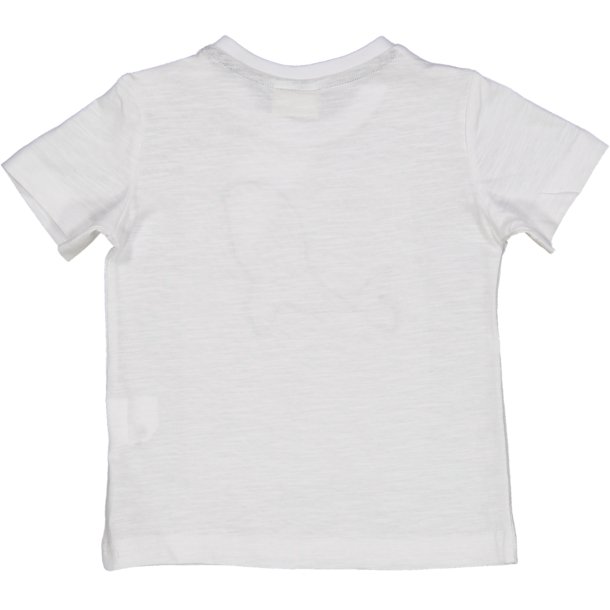 T-shirt balena Birba - immagine 2