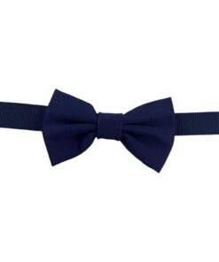 Papillon blu Ferretti