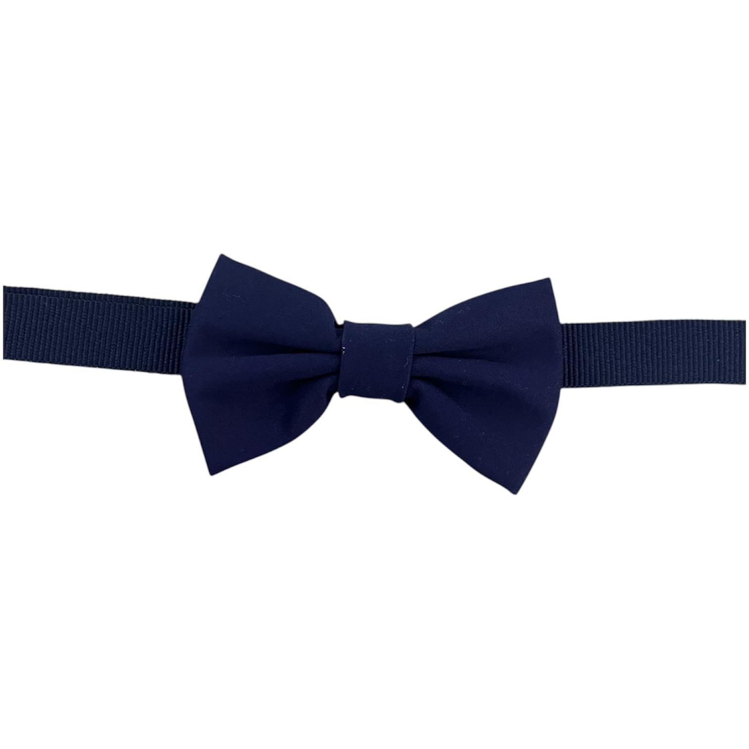 Papillon blu Ferretti